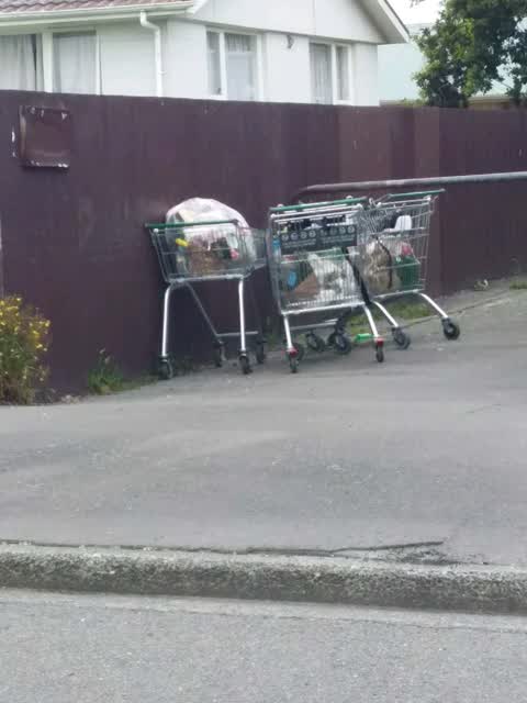Rubbish/Recycling, a report photo