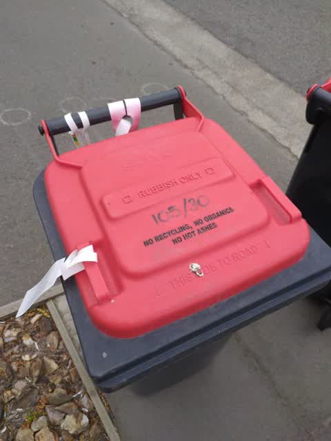 Rubbish/Recycling, a report photo