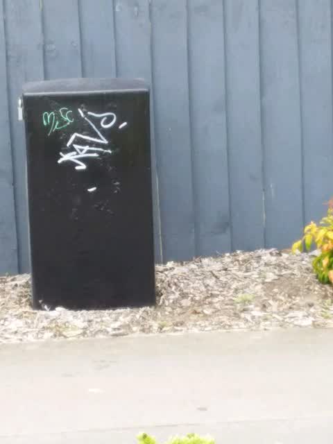 Graffiti, a report photo