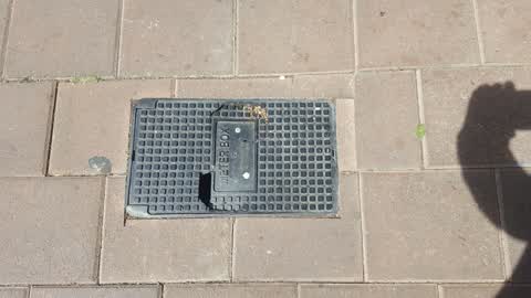 Street Light Outage — a report photo