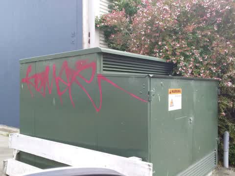 Graffiti, a report photo