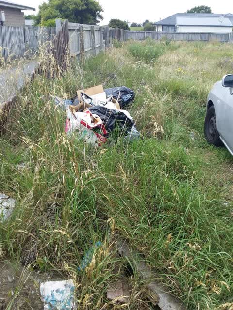 Rubbish/Recycling, a report photo