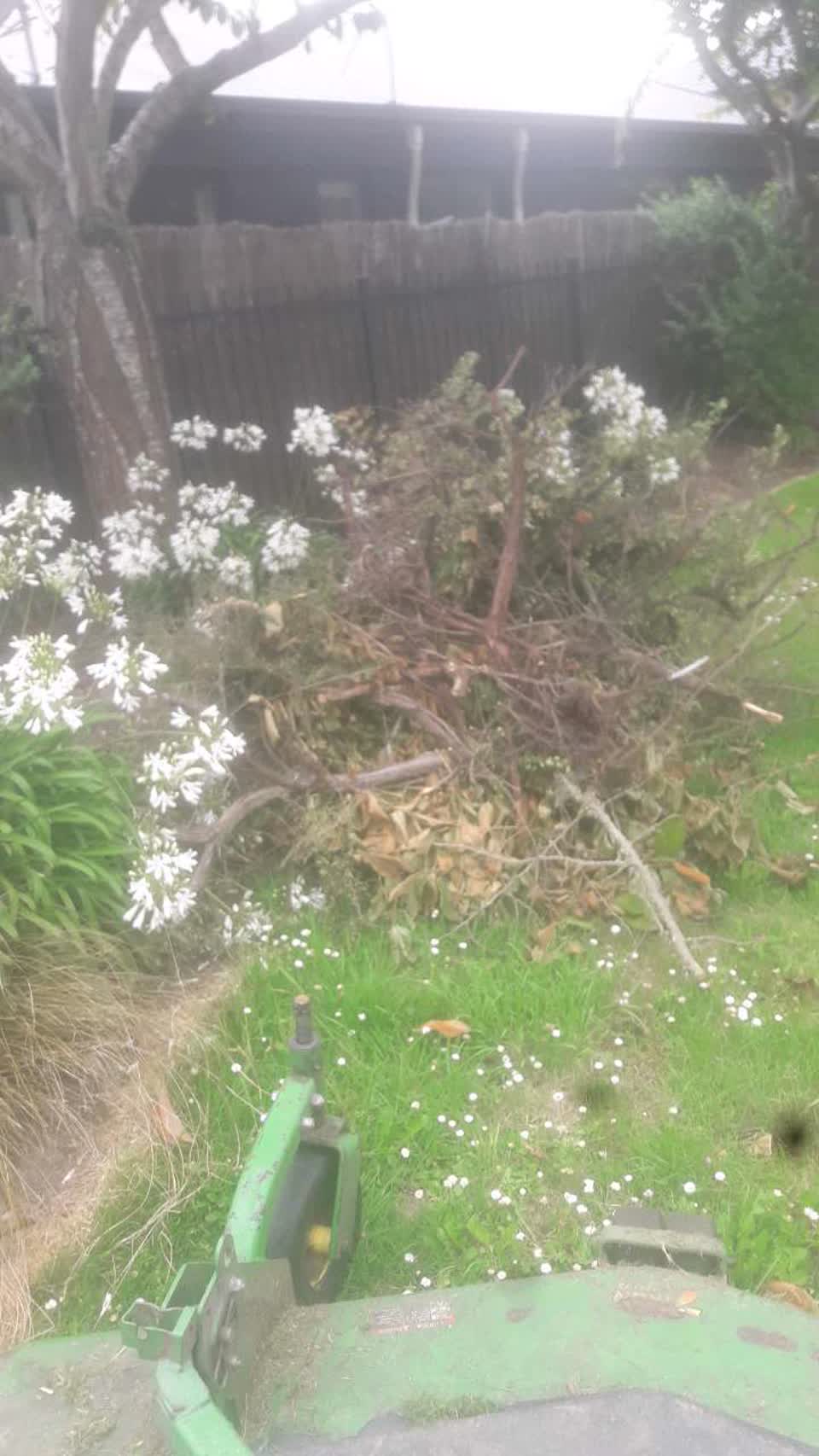 The photograph attached to this parks report