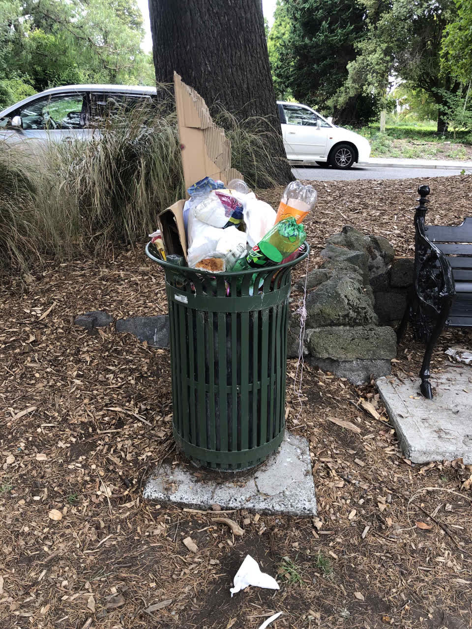 The photograph attached to this parks report