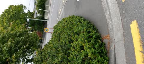 Roading/Streets, a report photo