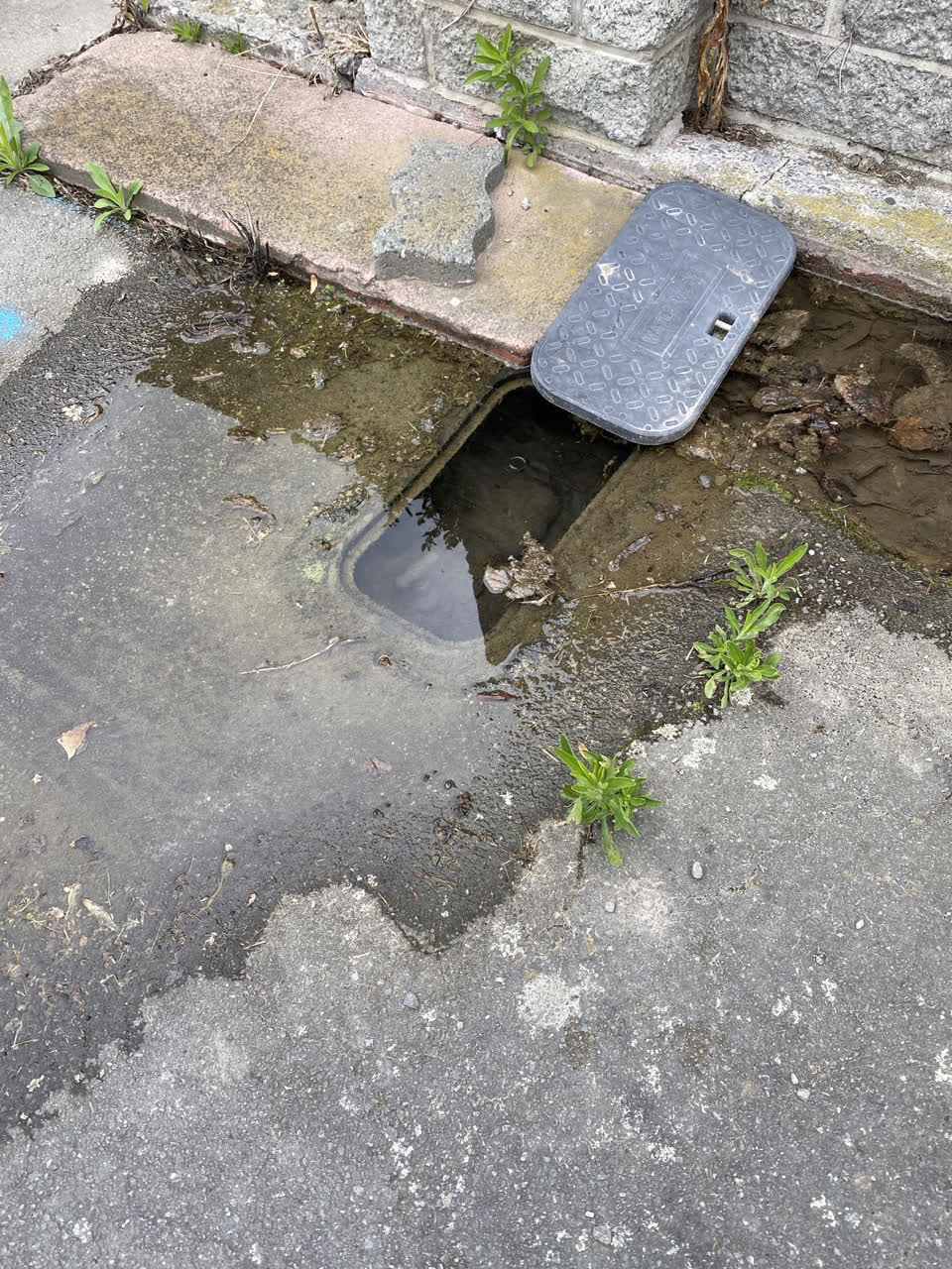 The photograph attached to this water leak report