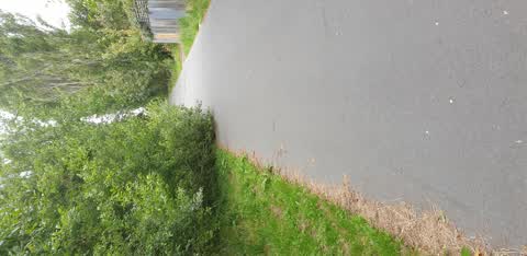 Roading/Streets, a report photo