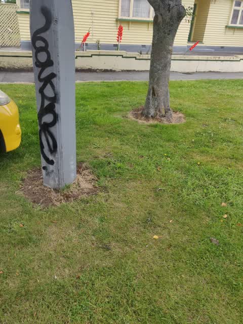 Graffiti, a report photo
