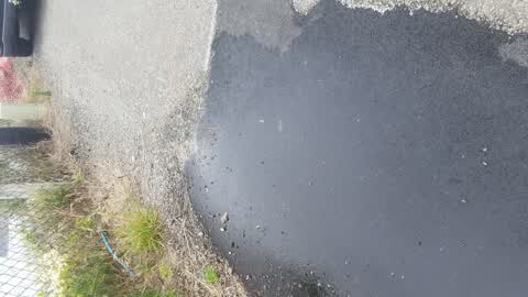 Water Leak, a report photo