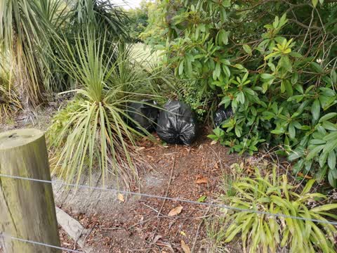 Rubbish/Recycling — a report photo