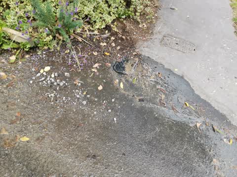 Water Leak, a report photo