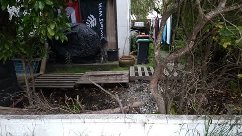 Water Leak, a report photo
