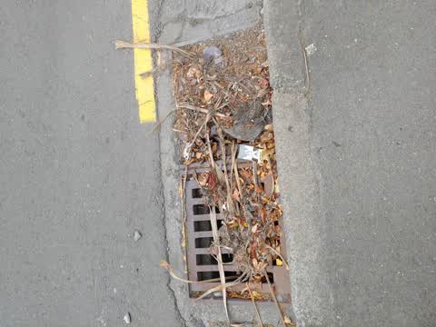 Wastewater/Stormwater, a report photo