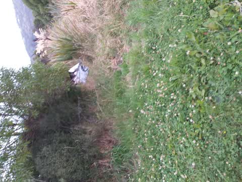 Rubbish/Recycling, a report photo