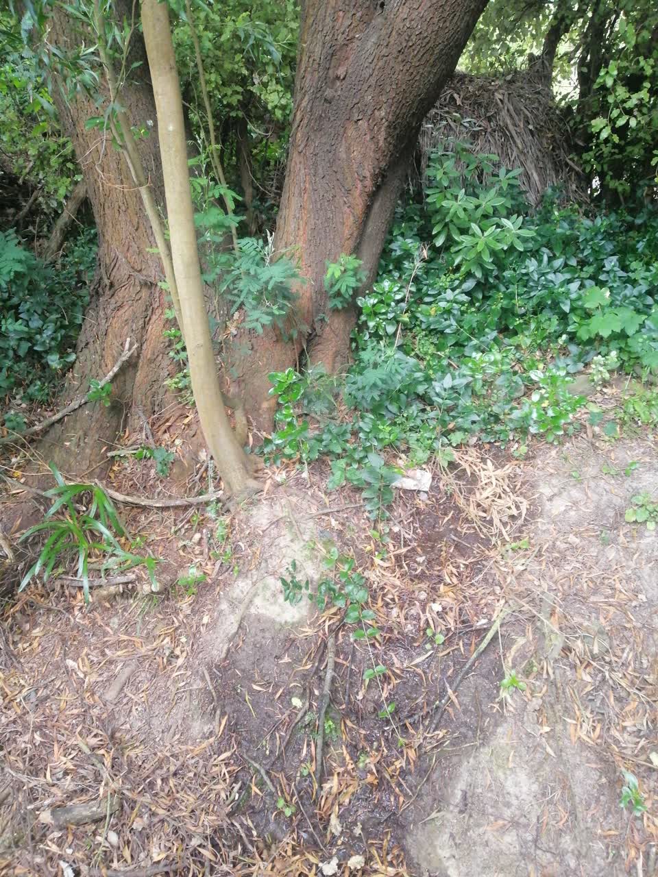 The photograph attached to this water leak report
