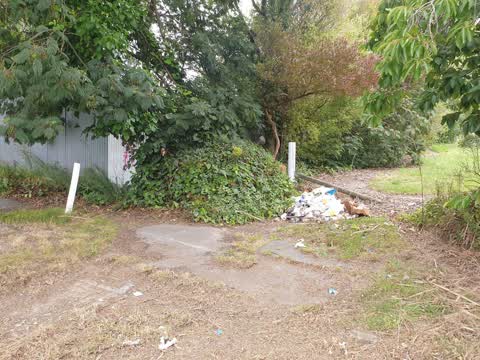 Rubbish/Recycling — a report photo