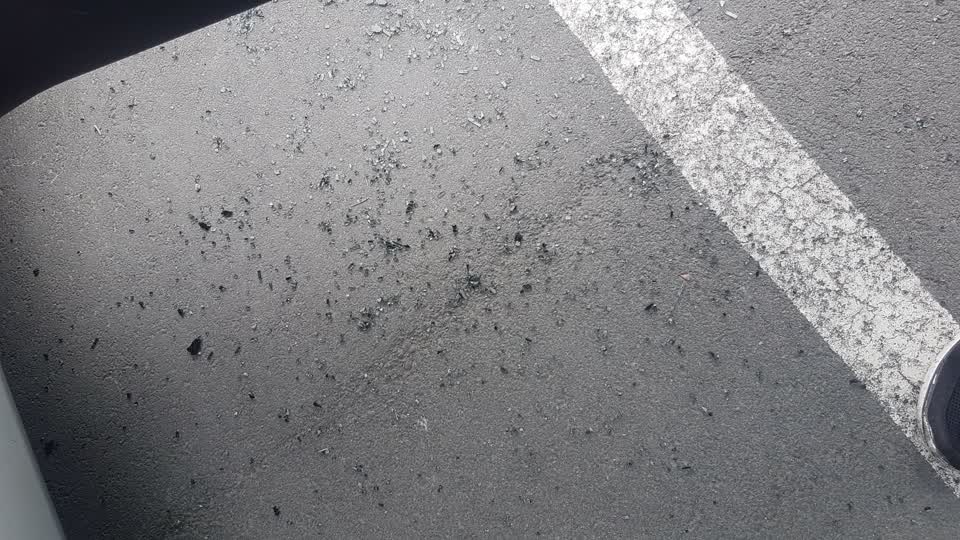 The photograph attached to this parks report