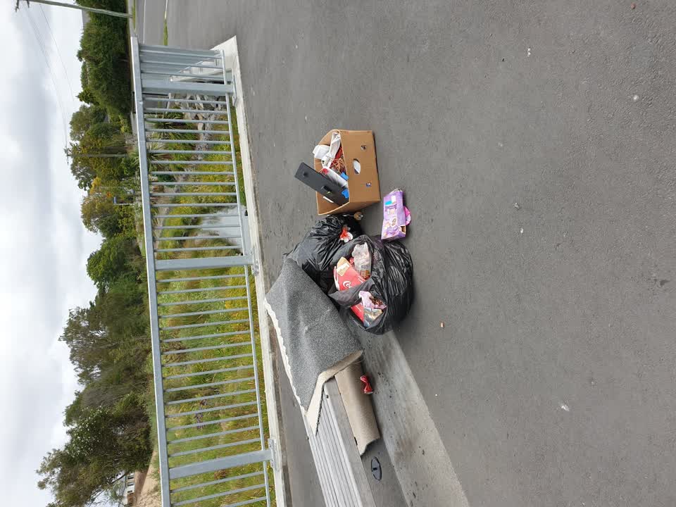 The photograph attached to this rubbish/recycling report