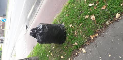 Rubbish/Recycling, a report photo