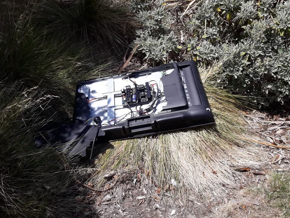 The photograph attached to this parks report
