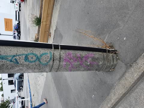 Graffiti, a report photo