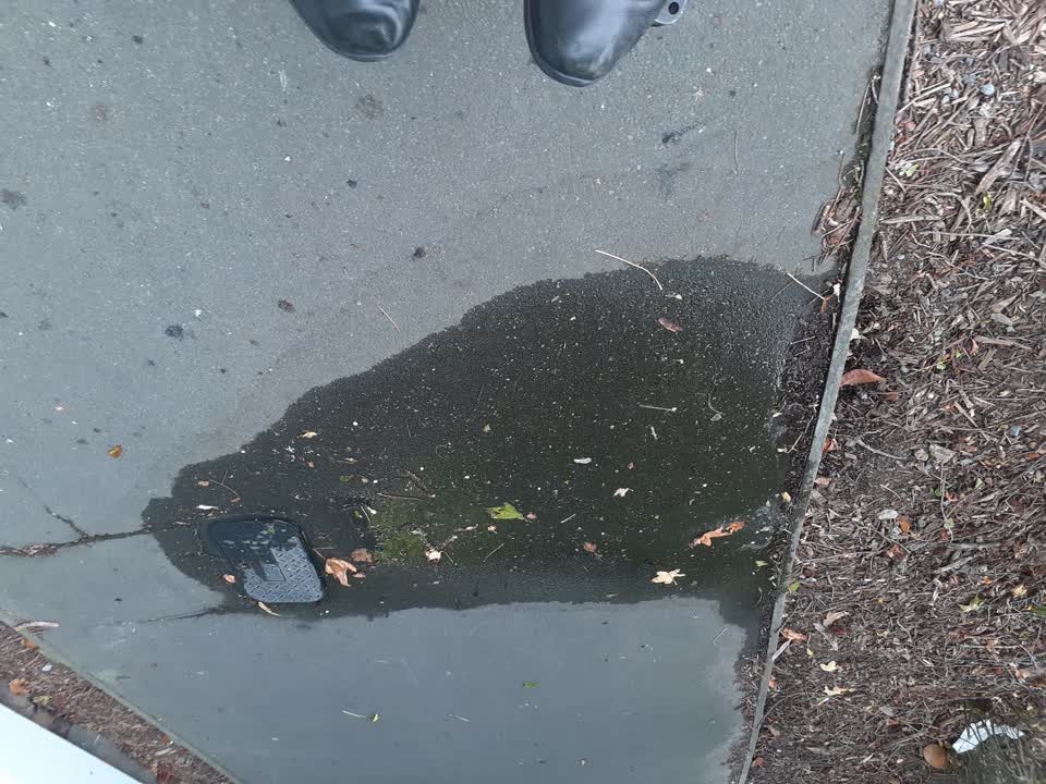 The photograph attached to this water leak report