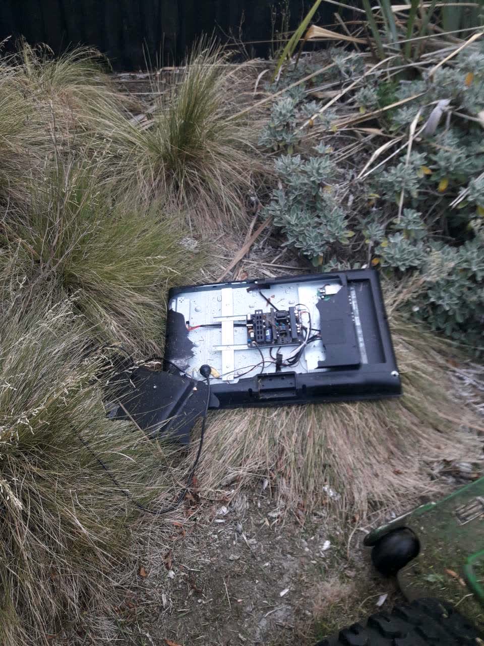 The photograph attached to this parks report
