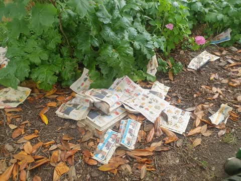 Rubbish/Recycling, a report photo