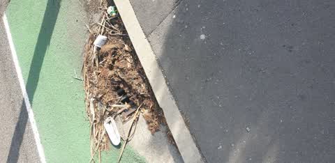 Rubbish/Recycling, a report photo