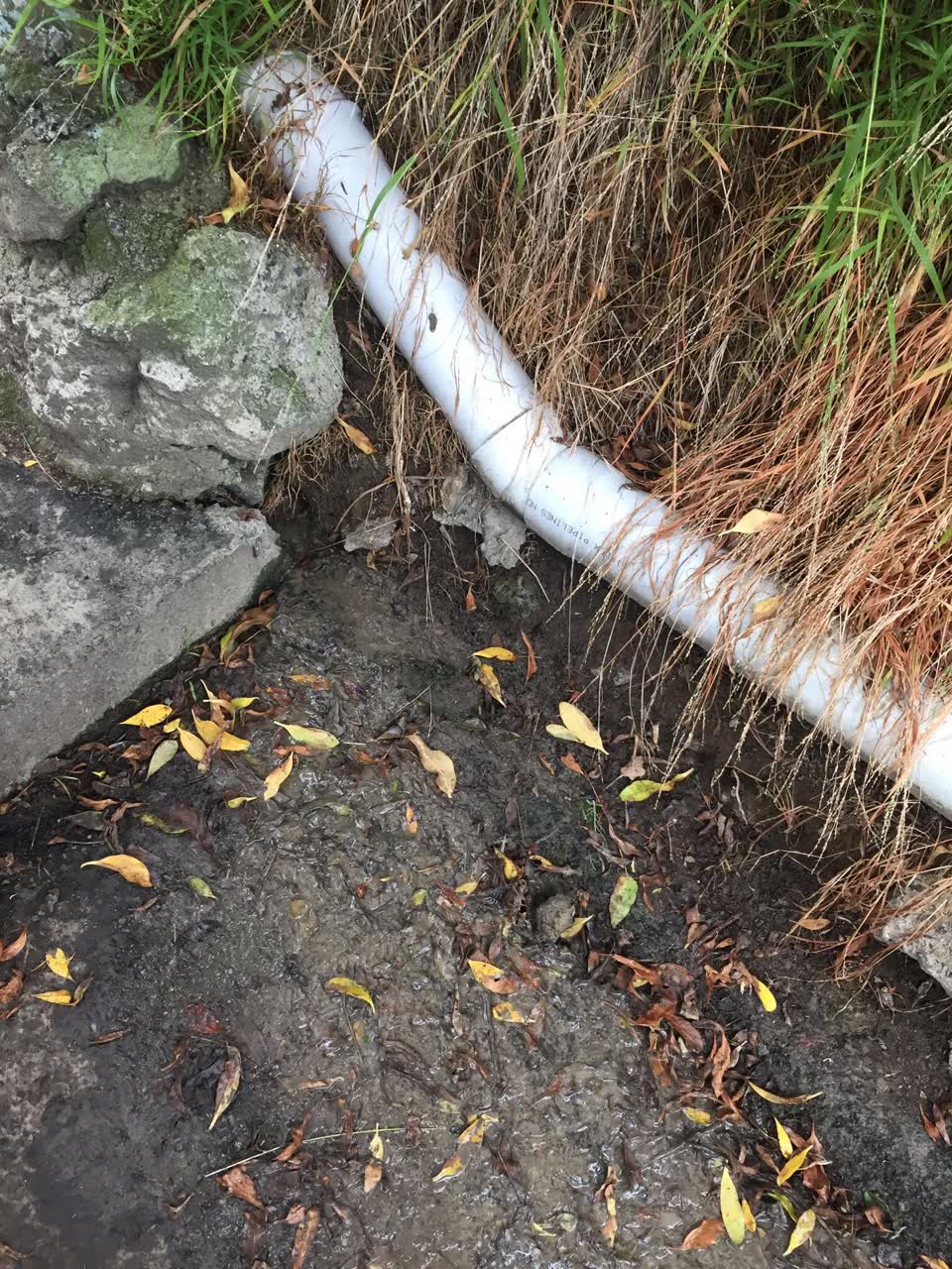 The photograph attached to this water leak report