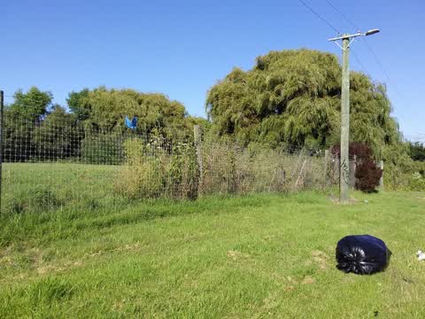 Rubbish/Recycling — a report photo