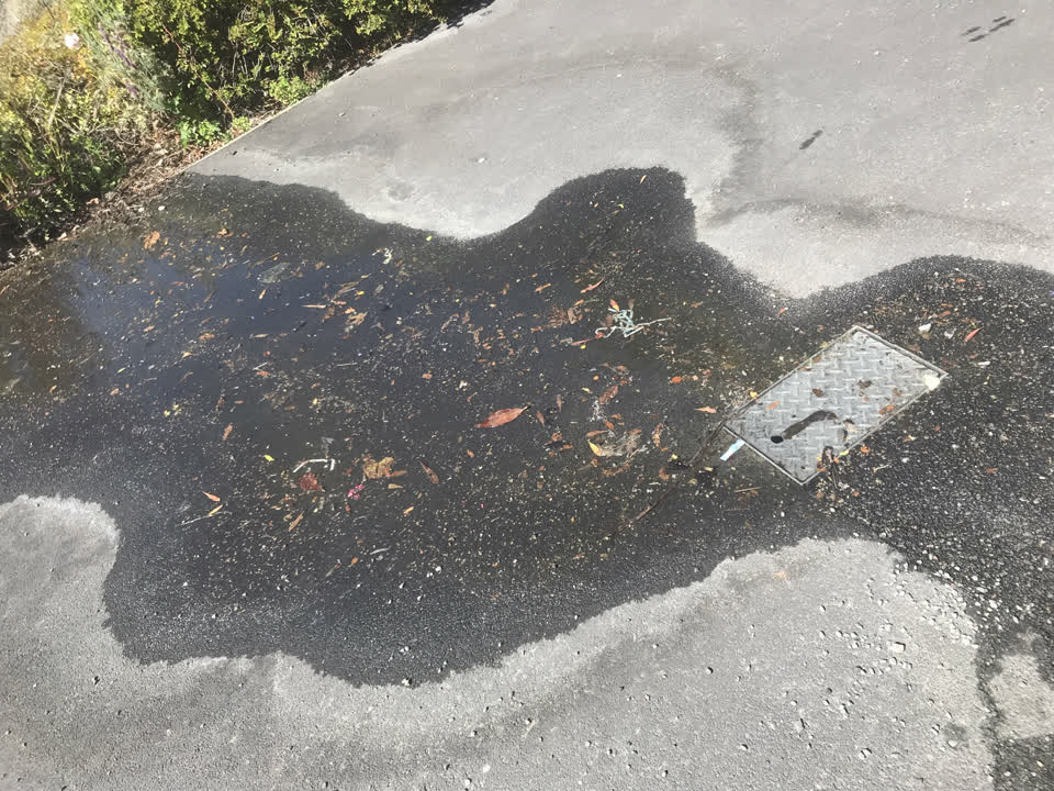 The photograph attached to this water leak report