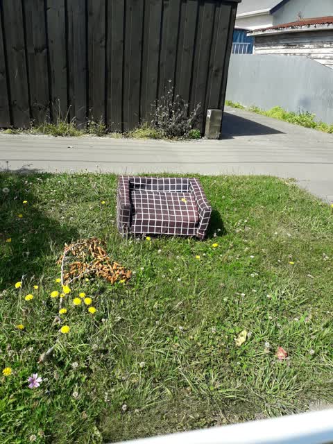 Rubbish/Recycling, a report photo