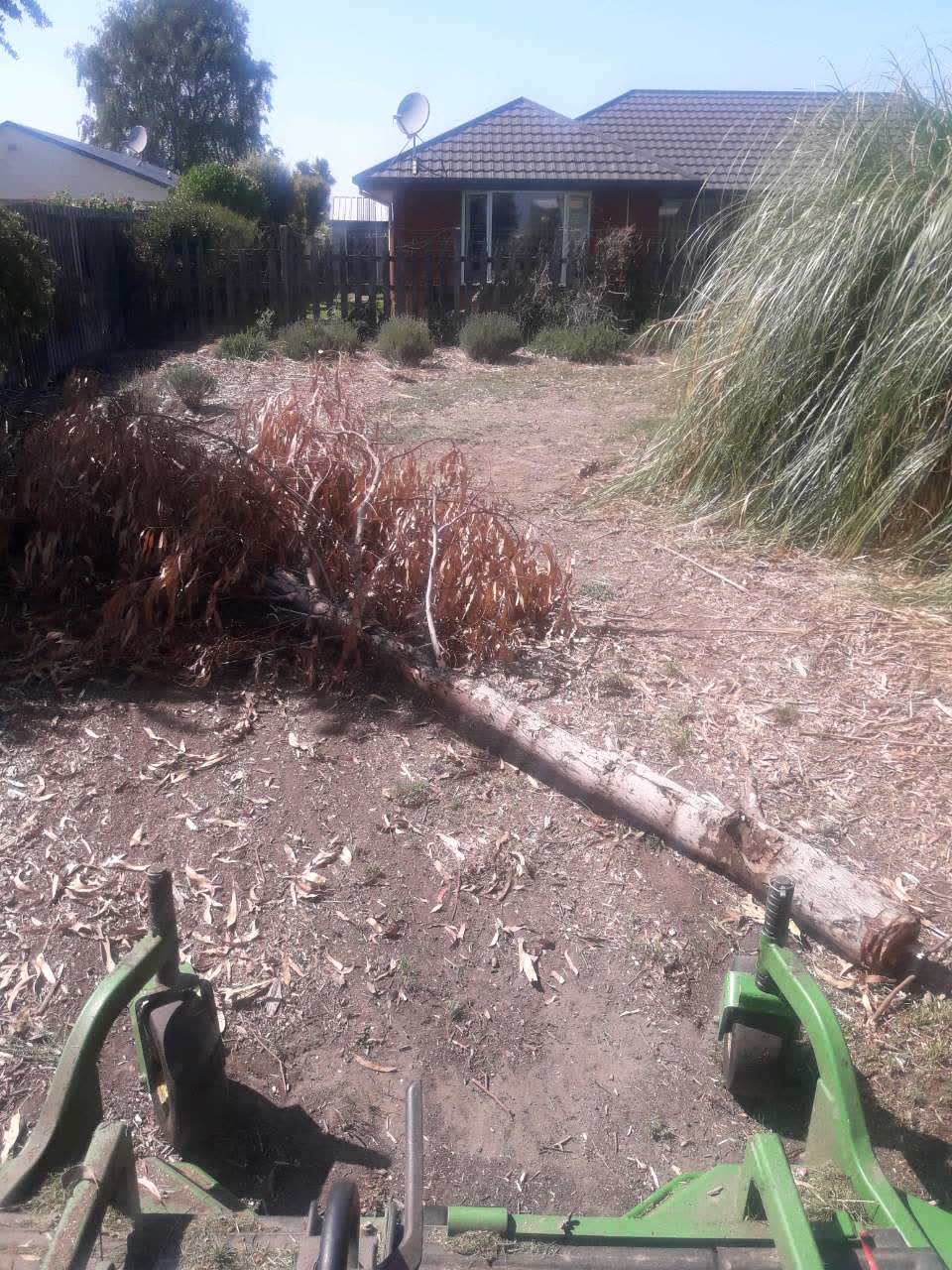 The photograph attached to this parks report