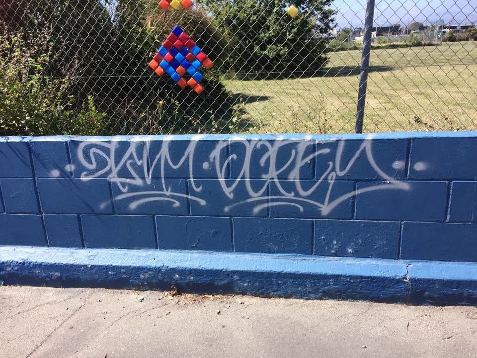 The photograph attached to this graffiti report