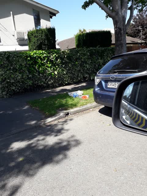 Rubbish/Recycling, a report photo