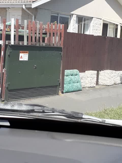 Rubbish/Recycling, a report photo
