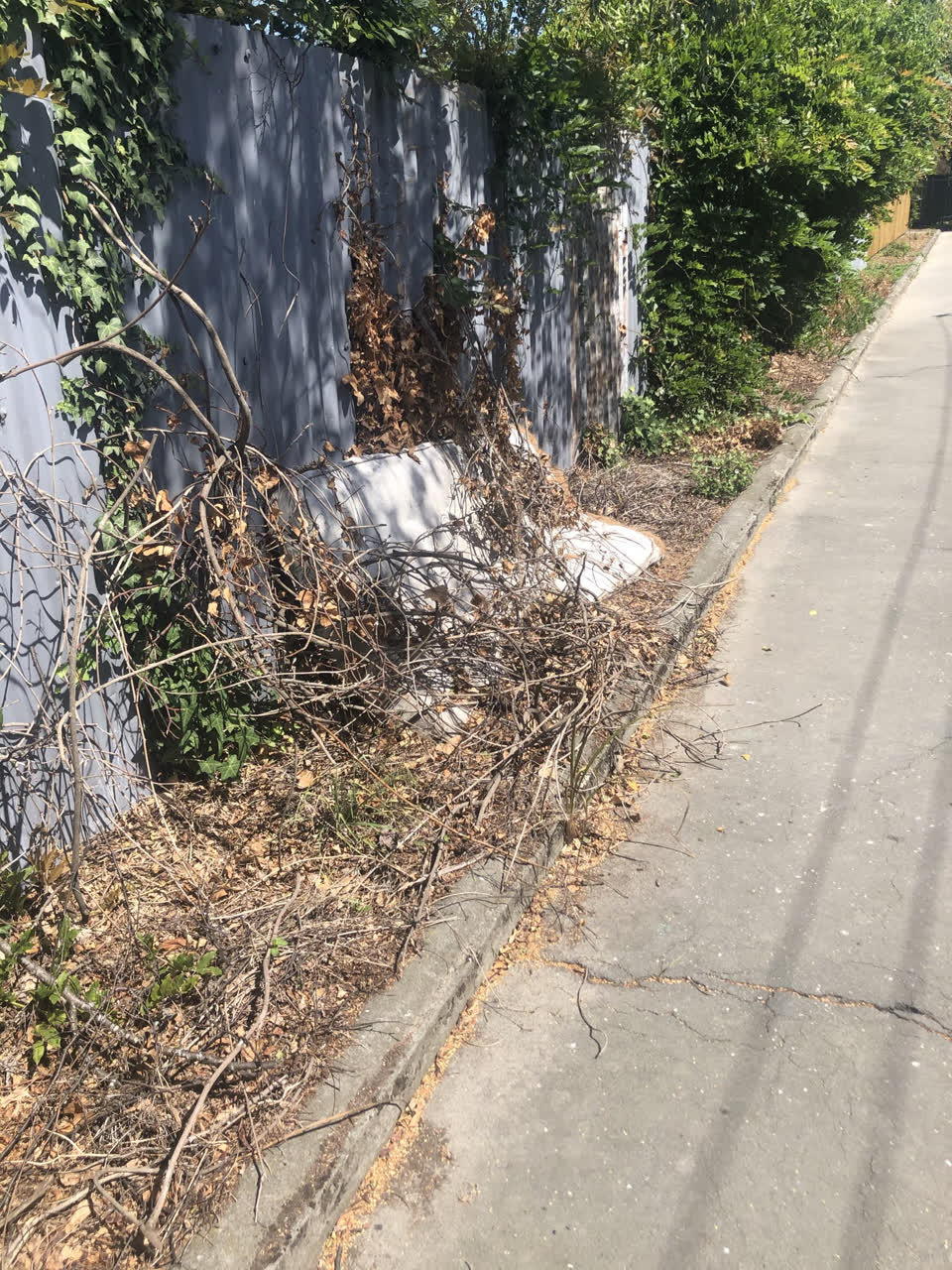 The photograph attached to this rubbish/recycling report