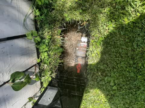 Water Leak, a report photo