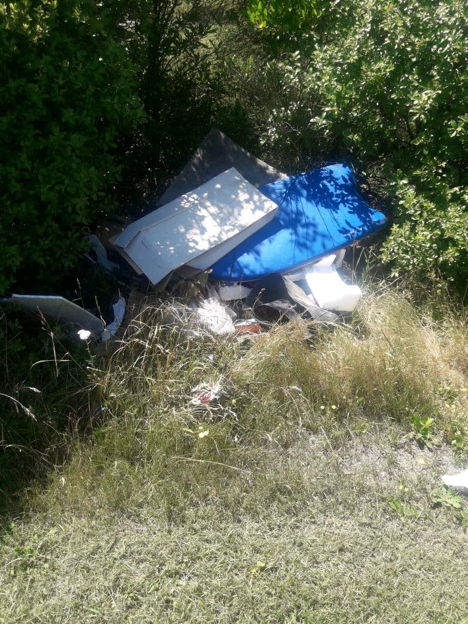 The photograph attached to this parks report