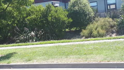 Parks, a report photo