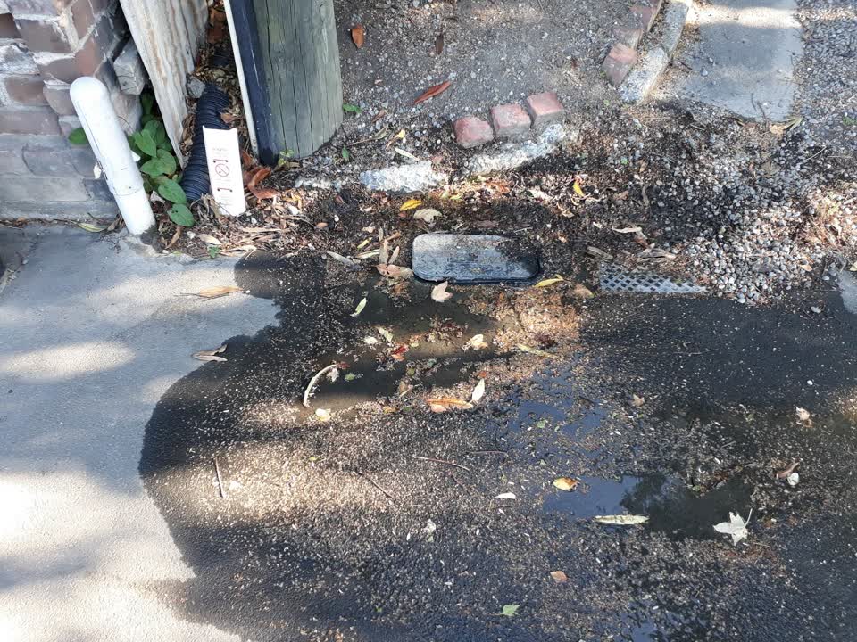 The photograph attached to this water leak report