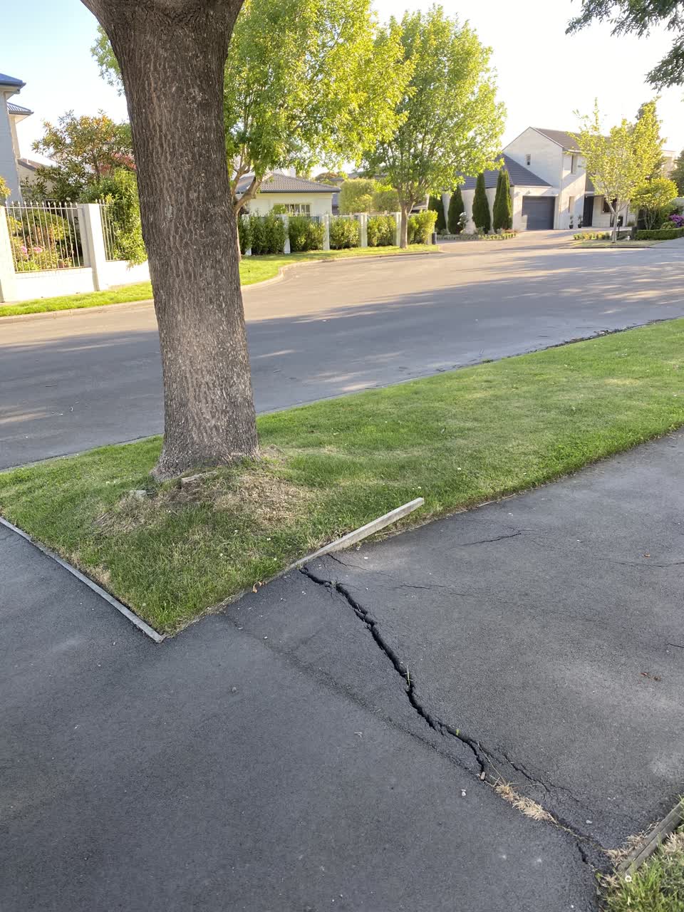 The photograph attached to this street light outage report