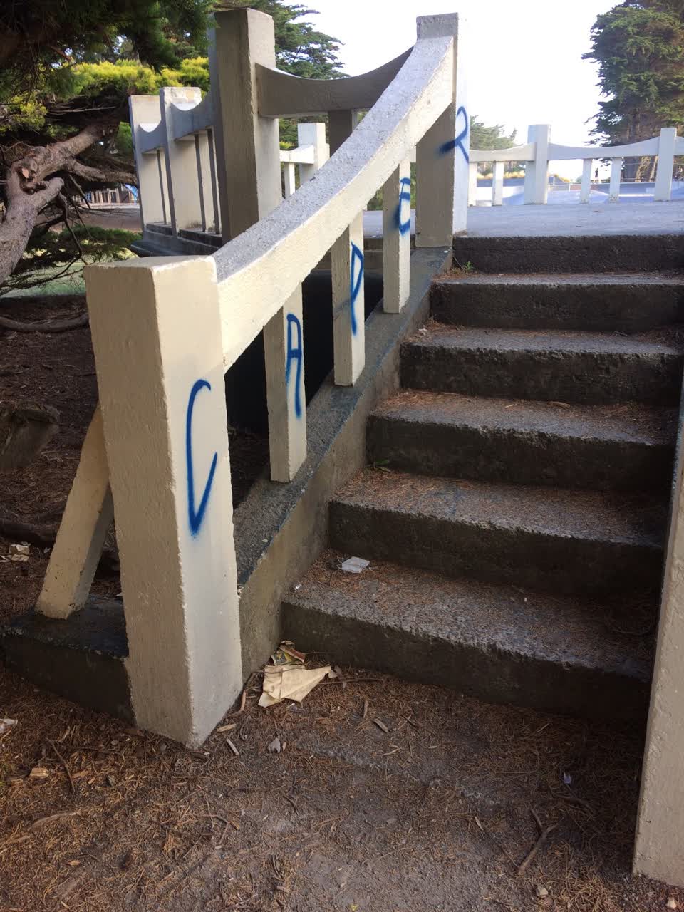 The photograph attached to this graffiti report