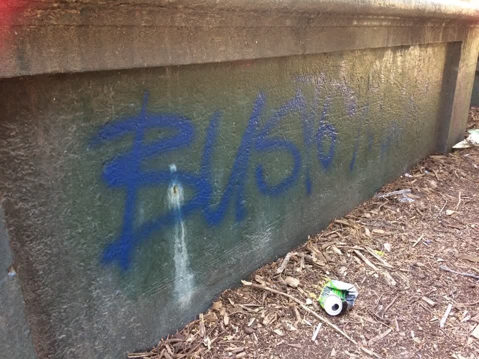 The photograph attached to this graffiti report