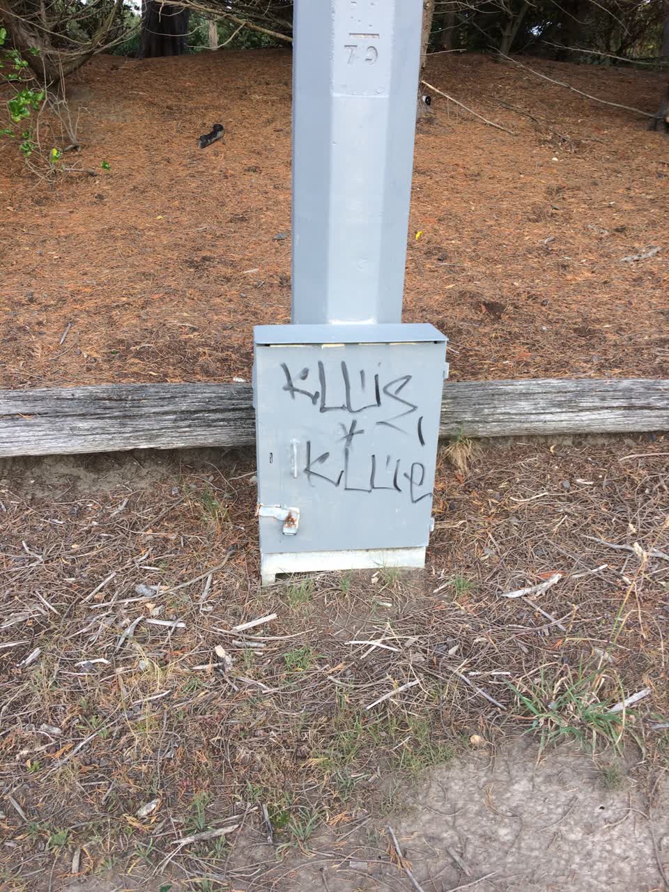The photograph attached to this graffiti report
