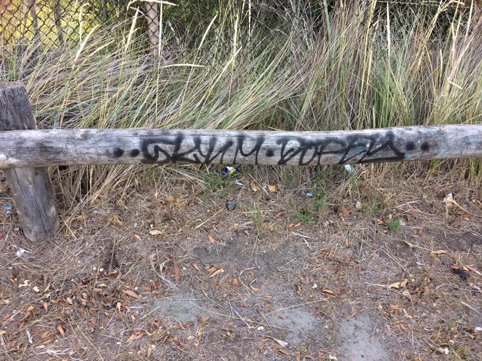 The photograph attached to this graffiti report