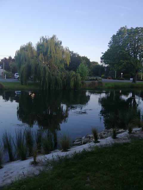 Parks, a report photo