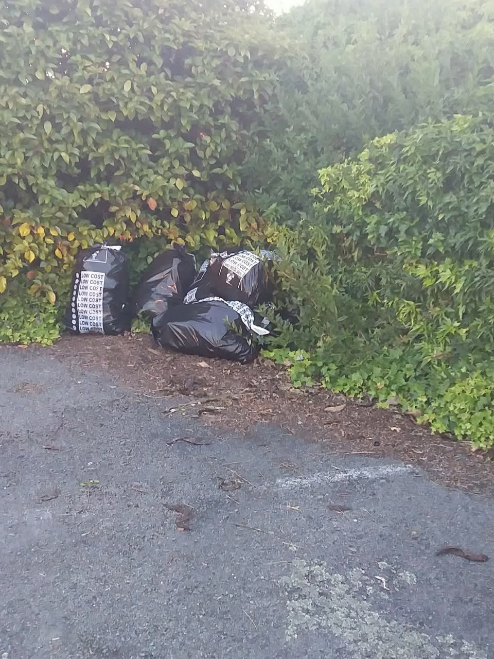 The photograph attached to this rubbish/recycling report