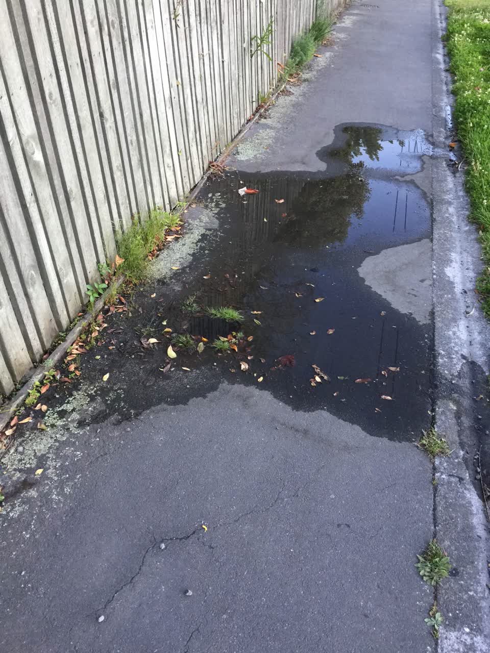 The photograph attached to this water leak report